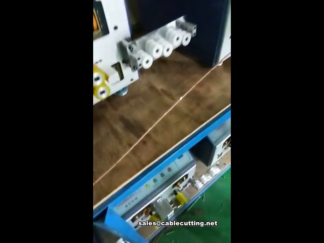 Automatic 12-Section Middle Stripping Machine for Wire Processing