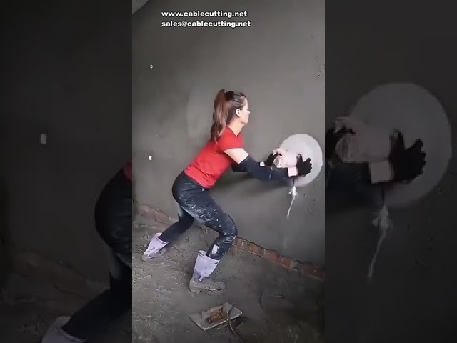 220V 3280W Electric Wall Polisher, Portable Adjustable Speed Sanding Waxing Machine